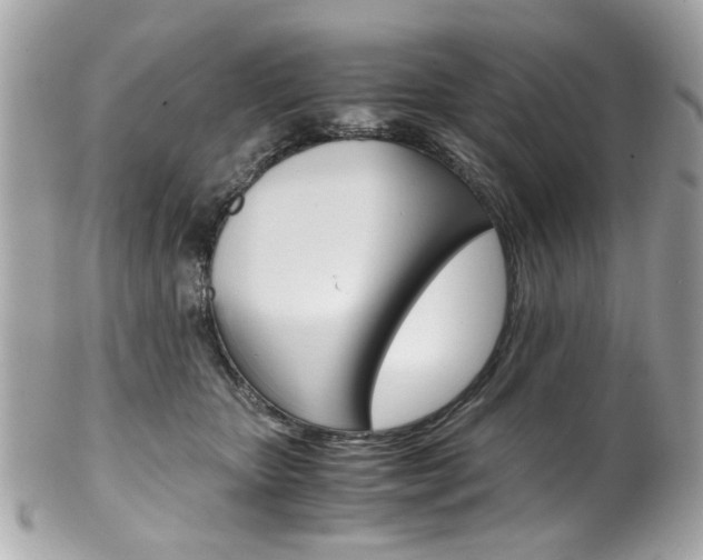 X0000102010467200807180915