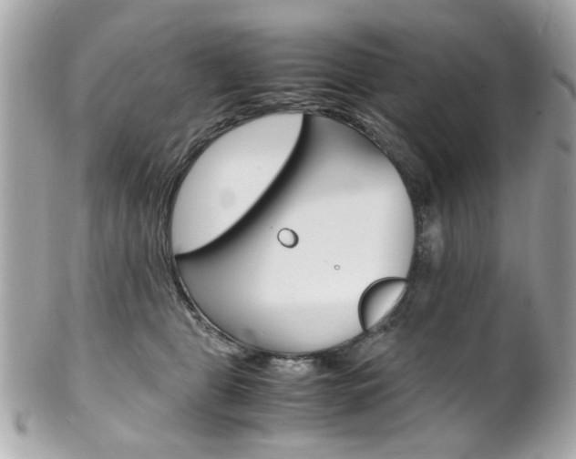X0000102010469200807180915