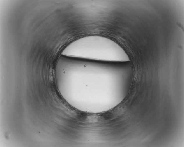 X0000102010470200807180915