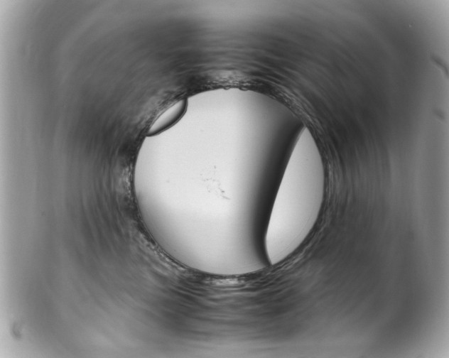 X0000102010473200807180915