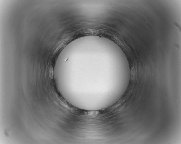 X0000102010474200807180915