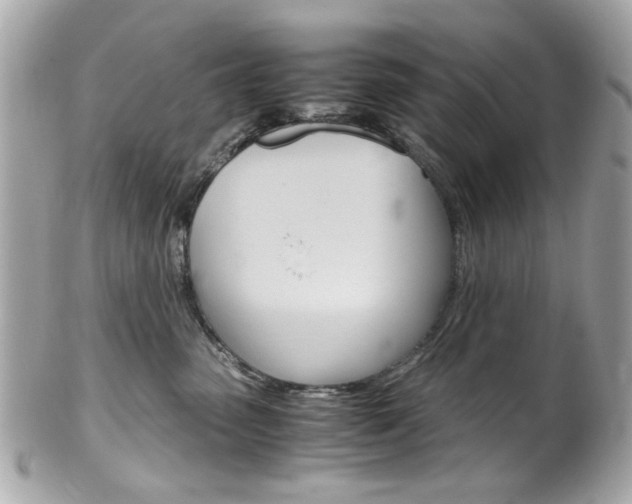 X0000102010475200807180915
