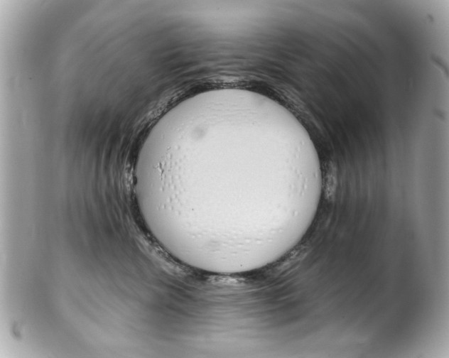 X0000102010476200807180915