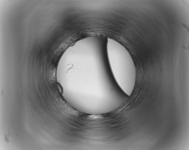 X0000102010477200807180915