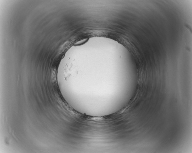 X0000102010478200807180915
