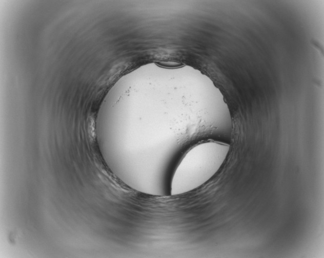 X0000102010479200807180915