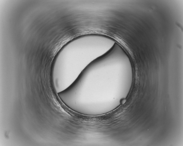 X0000102010485200807180914