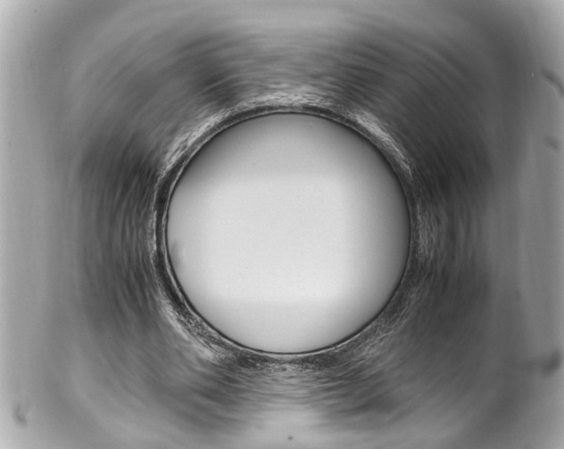 X0000102010486200807180914