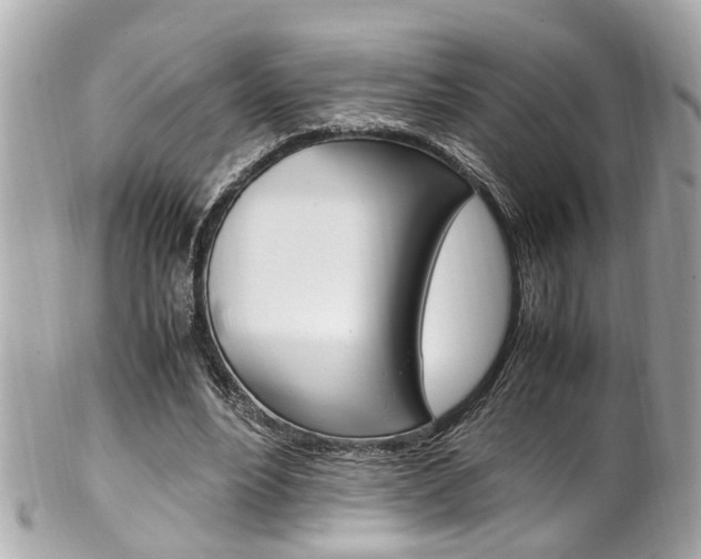 X0000102010488200807180914