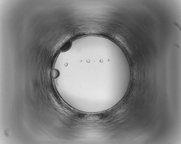 X0000102010491200807180914