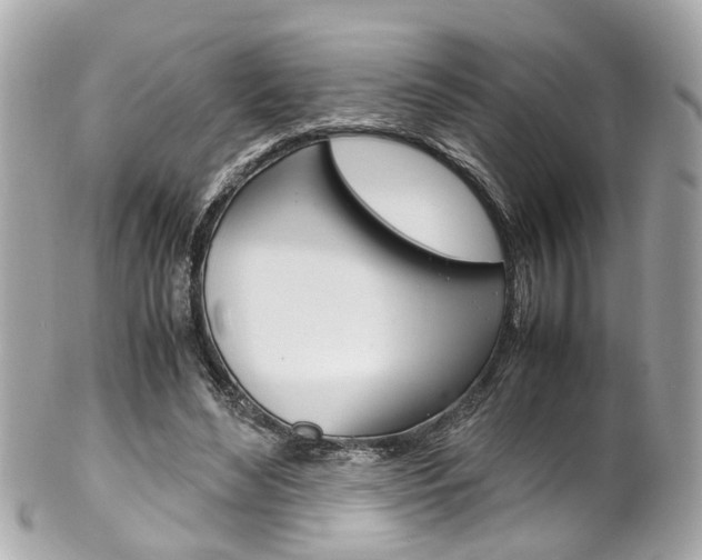 X0000102010492200807180914