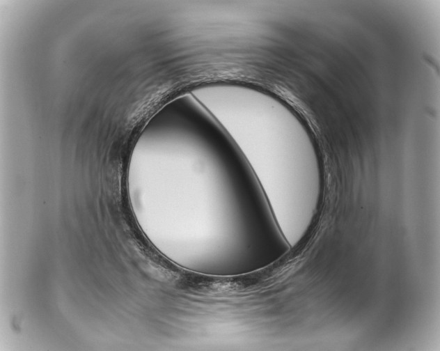 X0000102010493200807180914