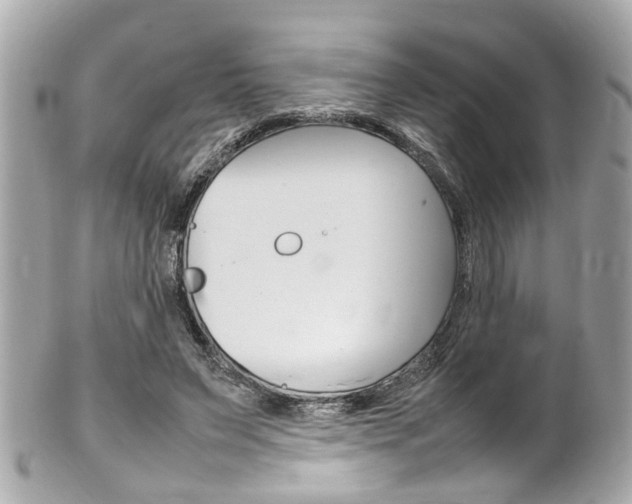 X0000102010495200807180914