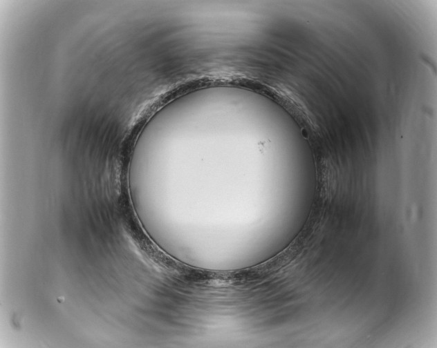 X0000102010496200807180914