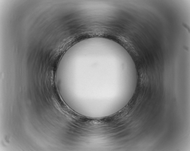 X0000102010498200807180914