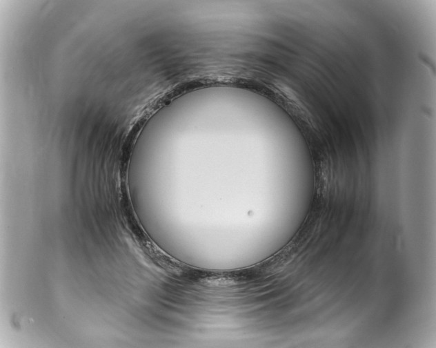 X0000102010500200807180914