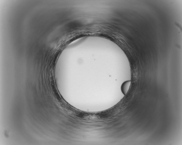 X0000102010503200807180914