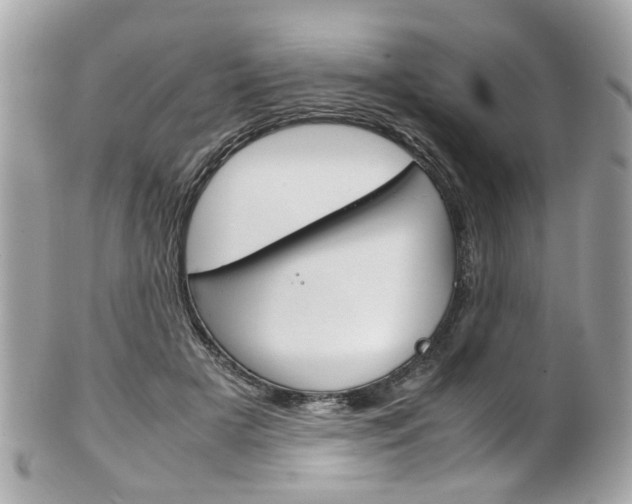 X0000102010505200807180914