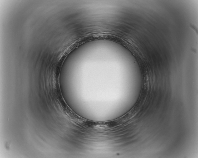 X0000102010508200807180914