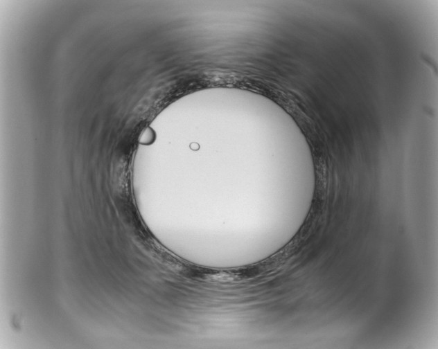 X0000102010511200807180914