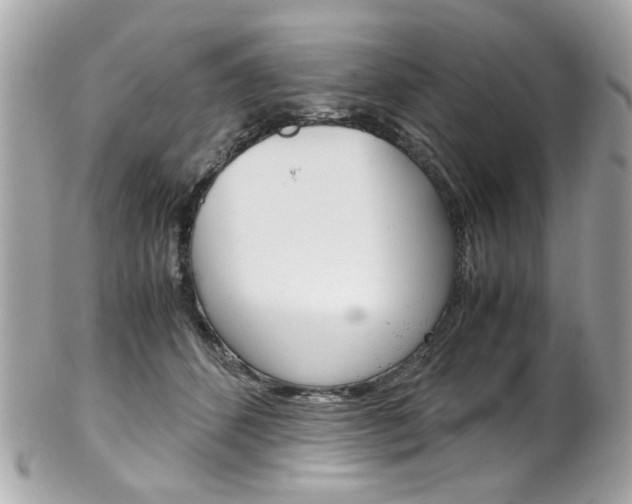 X0000102010512200807180914