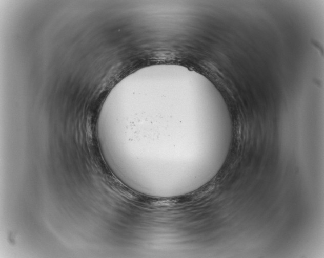 X0000102010516200807180914