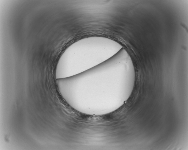 X0000102010517200807180914