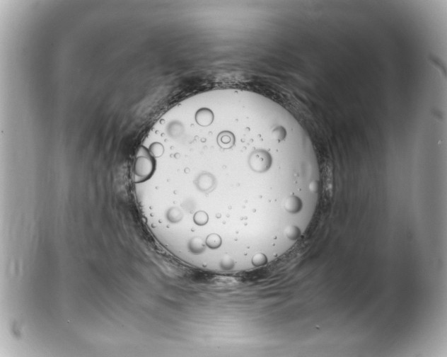 X0000102010519200807180914