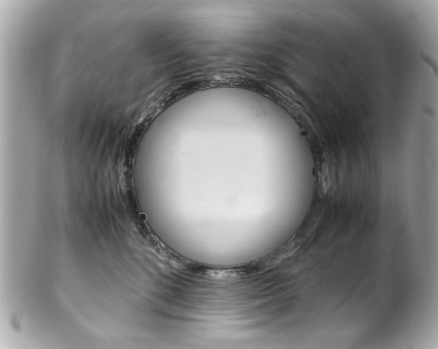 X0000102010520200807180914