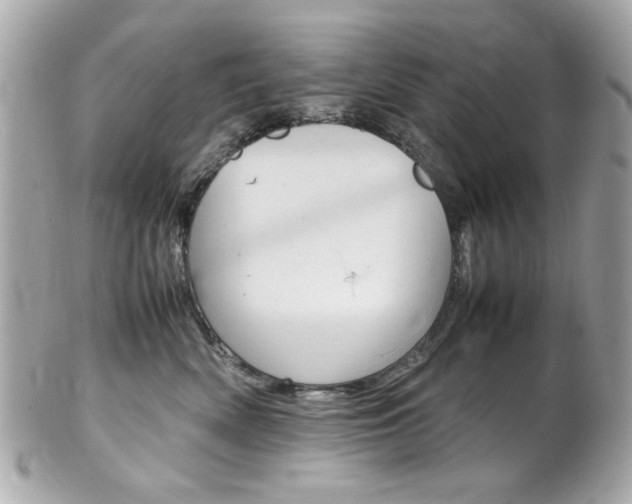 X0000102010522200807180914