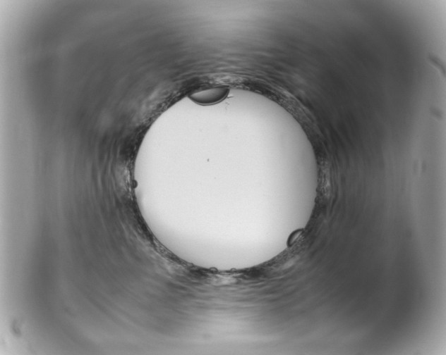 X0000102010523200807180914