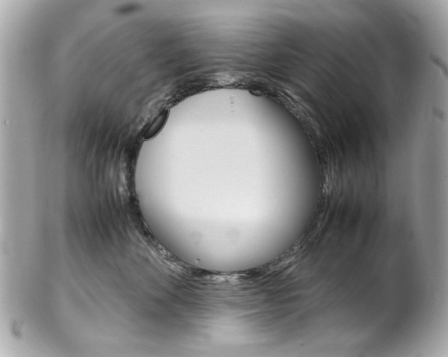 X0000102010524200807180914