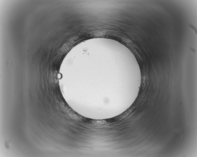 X0000102010525200807180914