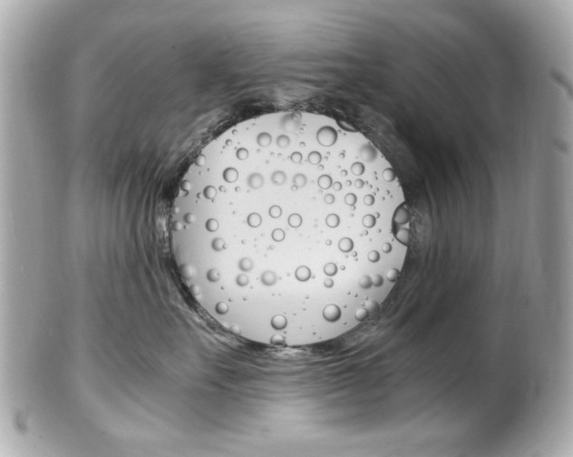 X0000102010527200807180913