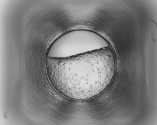 X0000102010529200807180913
