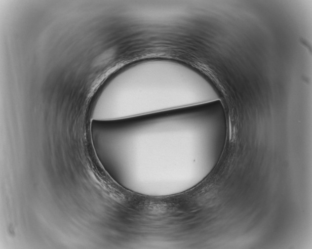 X0000102010531200807180913