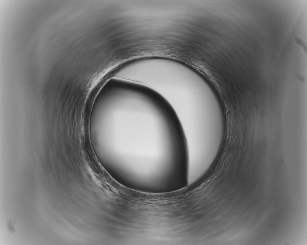 X0000102010532200807180913