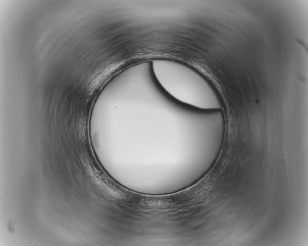 X0000102010533200807180913