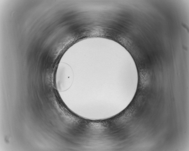 X0000102010534200807180913