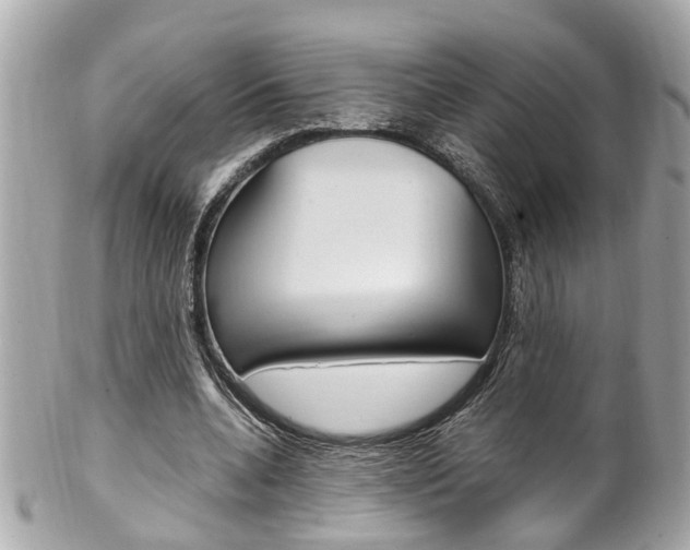 X0000102010536200807180913