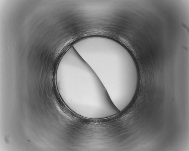 X0000102010538200807180913