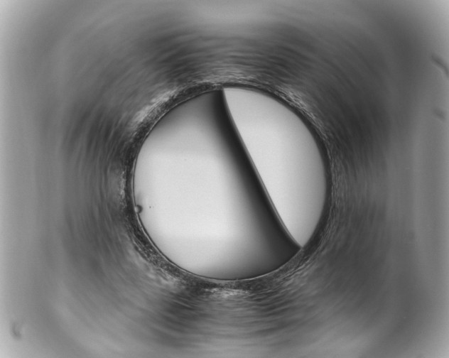 X0000102010539200807180913