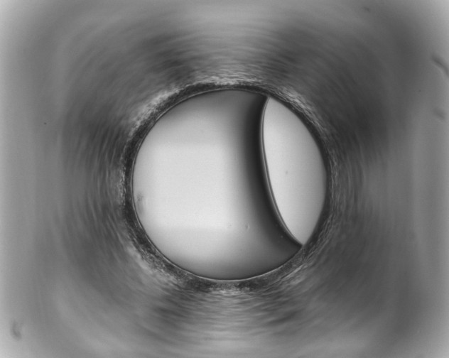 X0000102010540200807180913