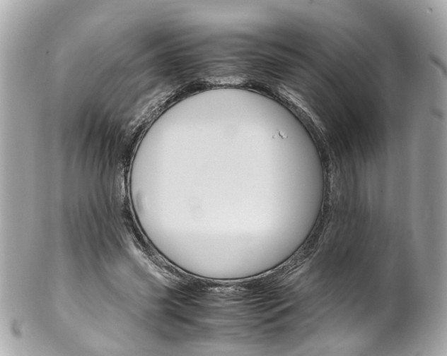 X0000102010541200807180913