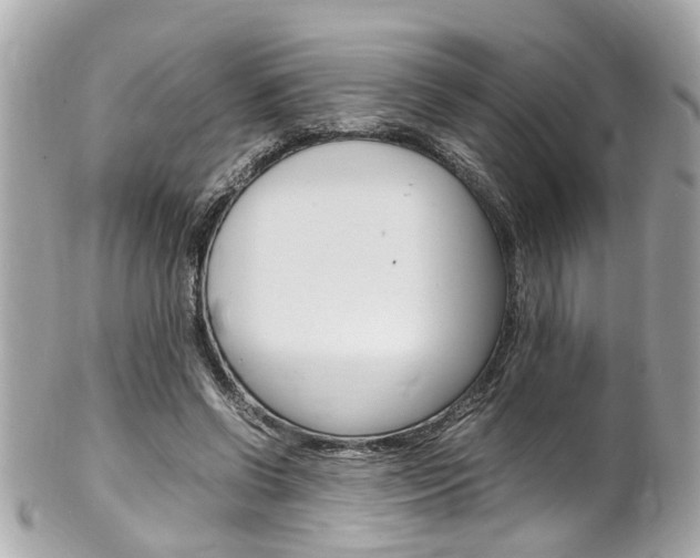 X0000102010542200807180913