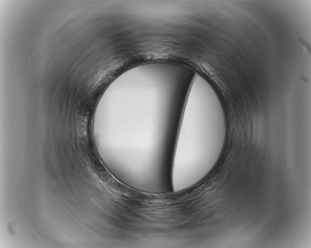X0000102010543200807180913