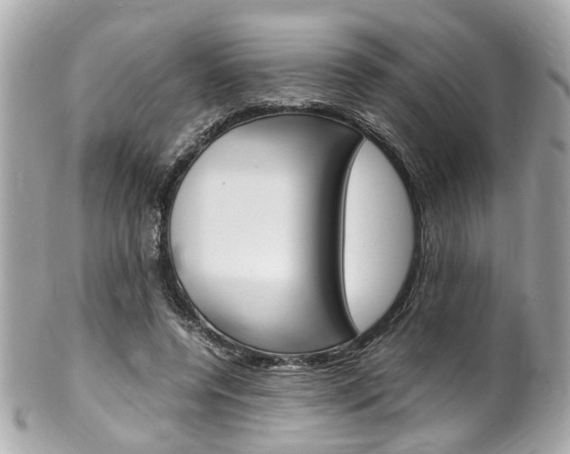 X0000102010544200807180913