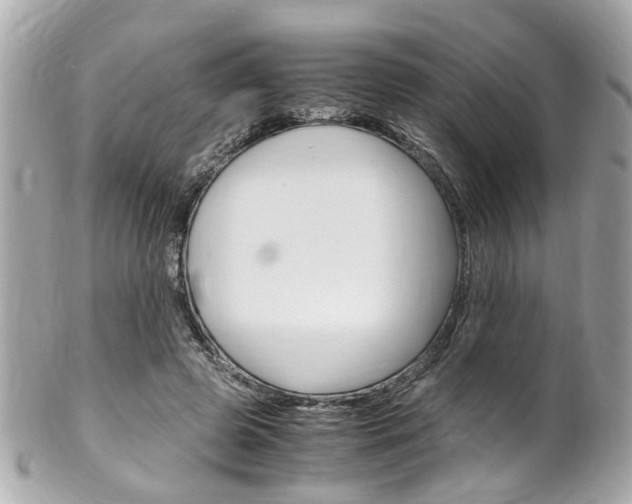 X0000102010545200807180913