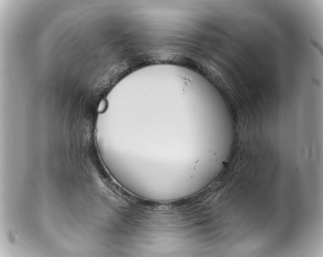 X0000102010546200807180913