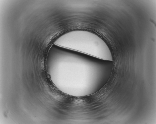 X0000102010547200807180913